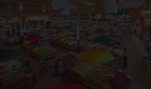 top_bg001